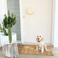 Palm Springs Sand Doormat