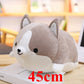 Plush Puppies