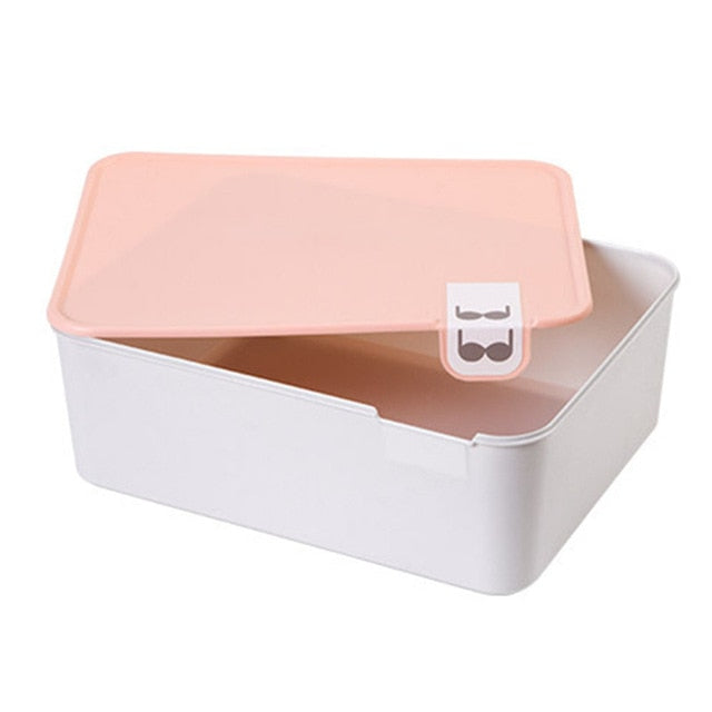 Pastel Lid Underwear Organiser