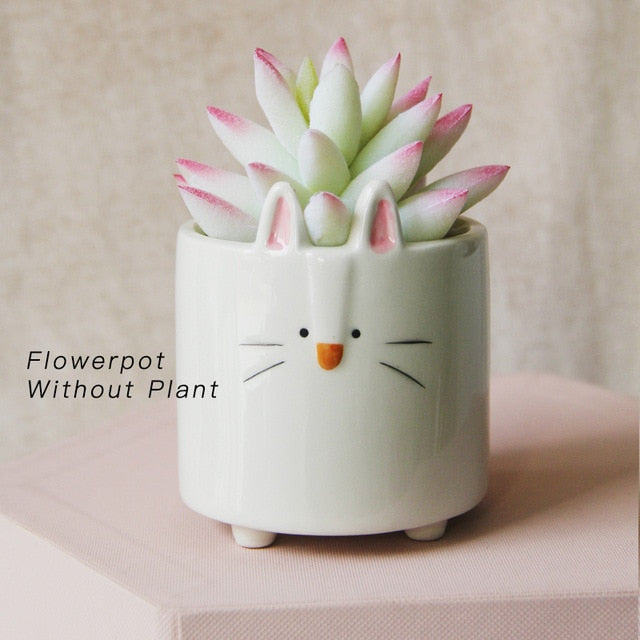 Cartoon Animal Planters