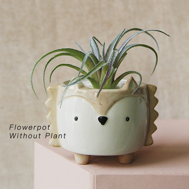 Cartoon Animal Planters