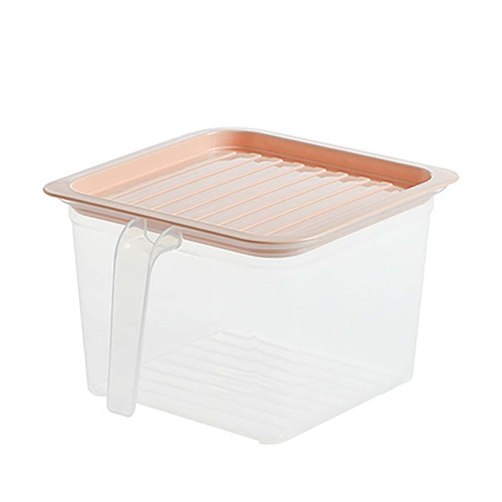 Transparent Storage Container with Handle