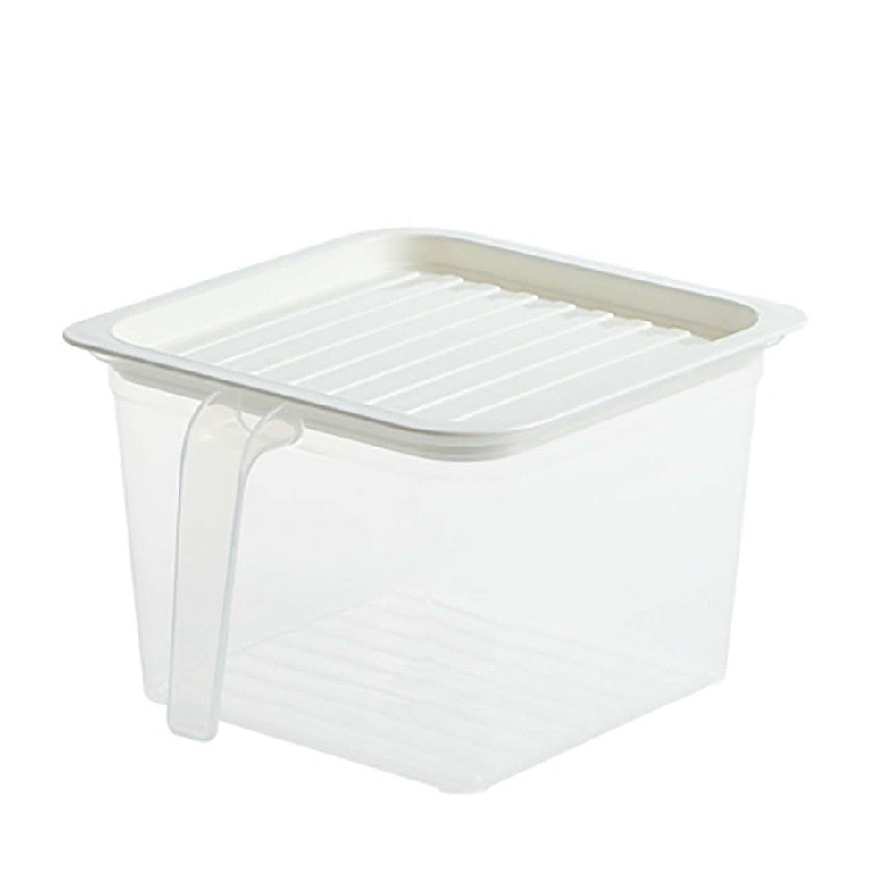 Transparent Storage Container with Handle