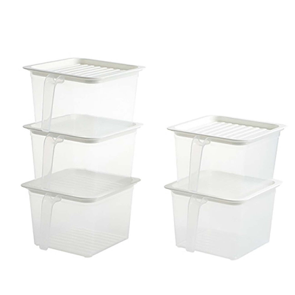 Transparent Storage Container with Handle