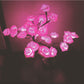 Rose Lamp
